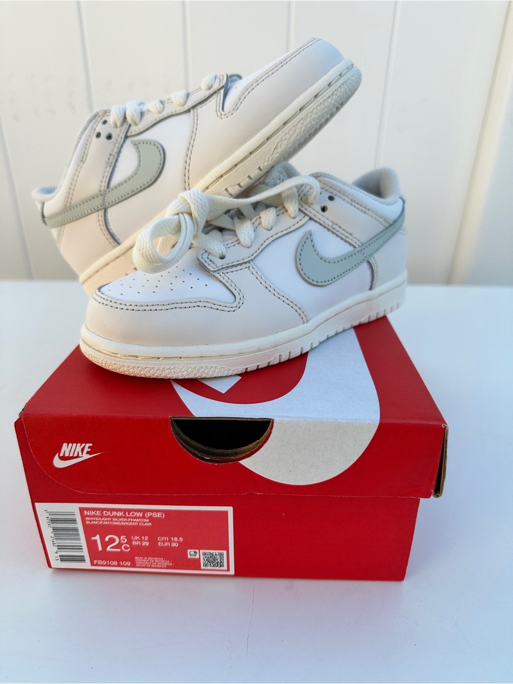 ✨ NEW Nike Dunk Low (PS) – Kids Size 12.5C ✨
